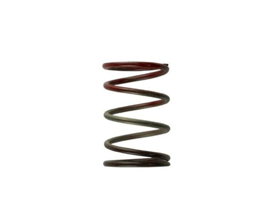 Turbosmart Gen4 IWG WG38/40/45/50L Springs